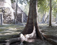 na Calakmul