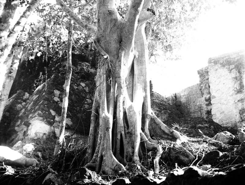 na Calakmul