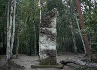 3 Calakmul