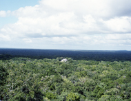 1 Calakmul